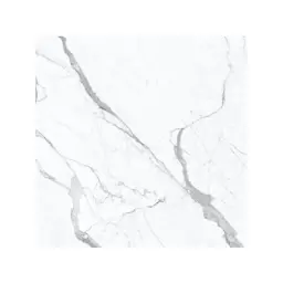 Energieker Marble Statuario SUPERIORE MAT 60x60 L TILES