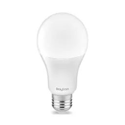 Braytron LED Sijalica A65 16W E27 6500K BA13-01623