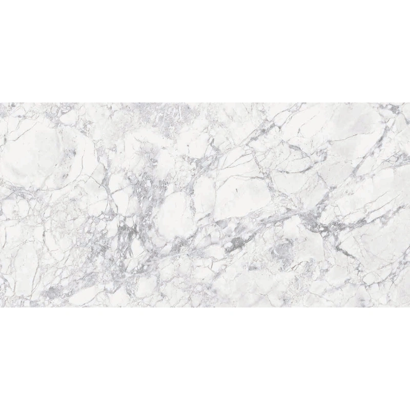 Arabescato Quarzite Matt Carving Rec 60x120
