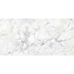Arabescato Quarzite Matt Carving Rec 60x120