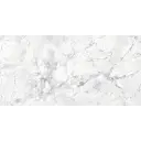 Arabescato Quarzite Matt Carving Rec 60x120