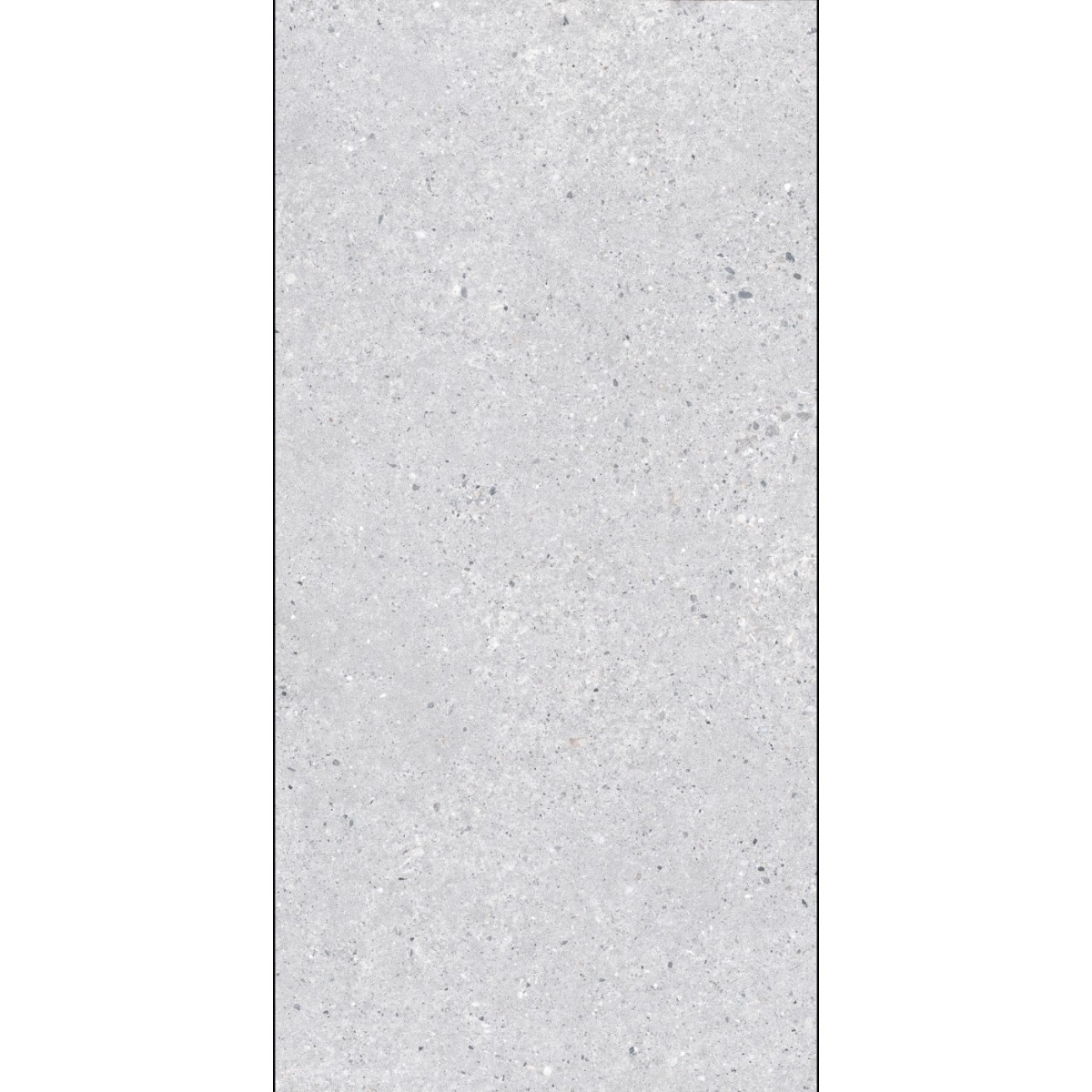 Arena Terazzo Grigio 60x120 RECT 10mm R10