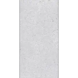 Arena Terazzo Grigio 60x120 RECT 10mm R10