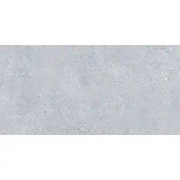 Ravenna Grey Matt Rec 60x120
