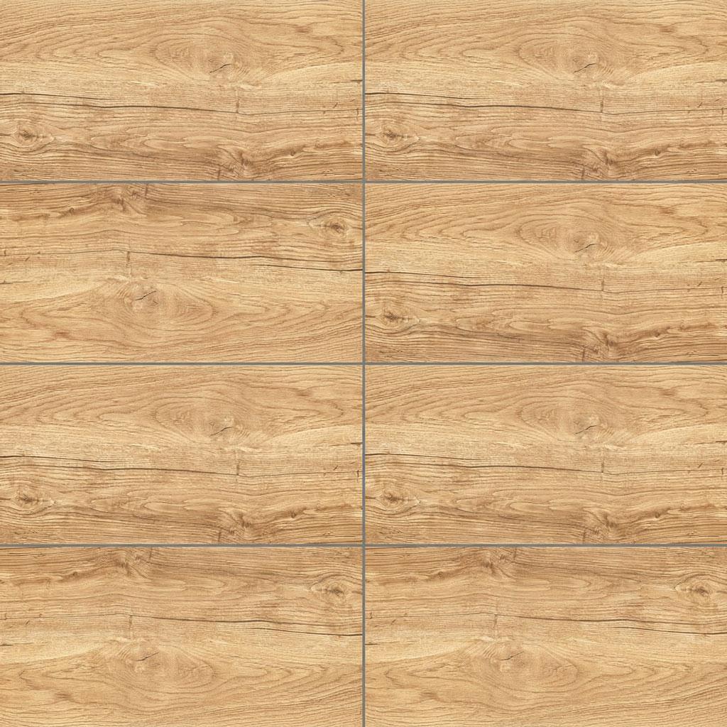 Dakota Beige 30×60 R9