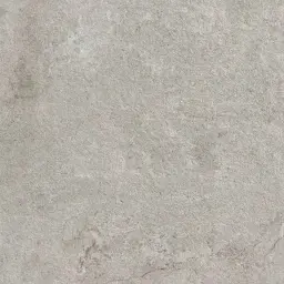 AB REINE Grey 60x60 podna mat RT