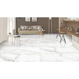 Calacuta Mecchia Gold 60x60cm