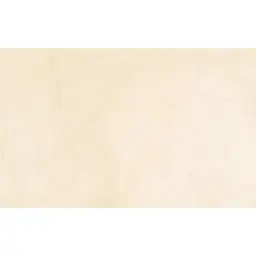 Latina Beige 25x40 5971