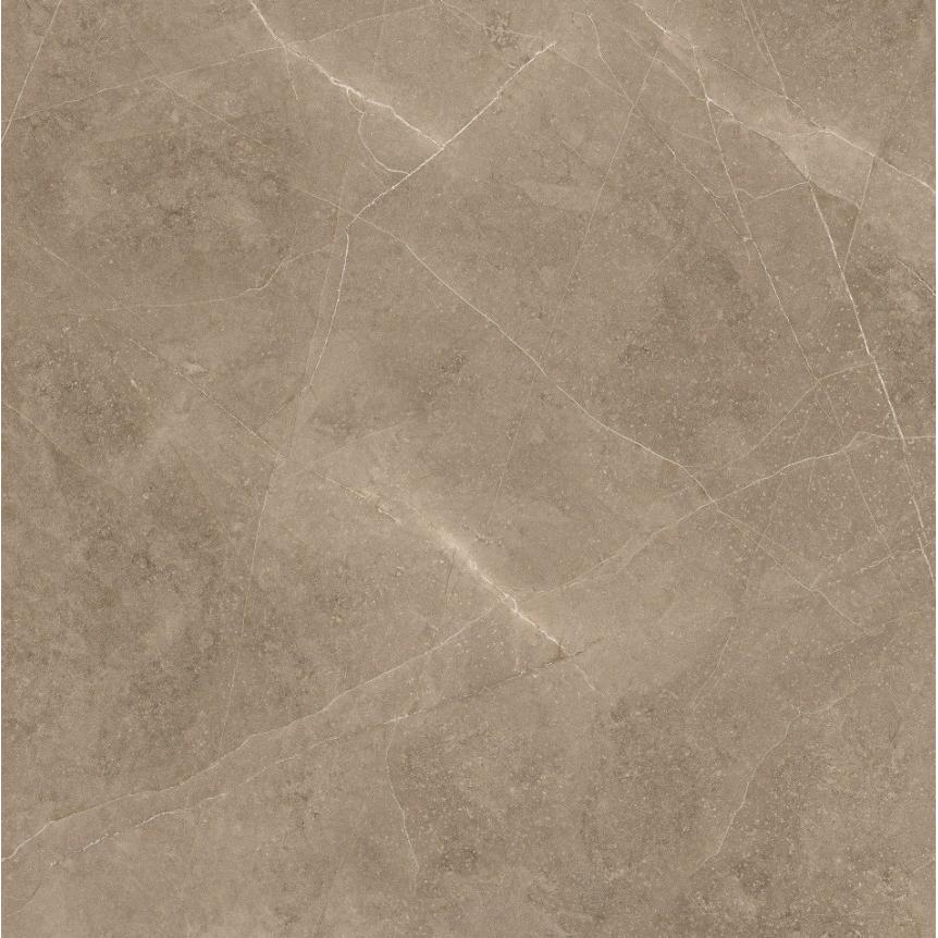 Zorka Elegant Taupe 60x60 9mm R9