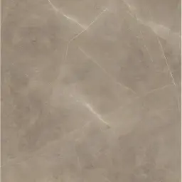 Zorka Elegant Taupe 60x60 9mm R9