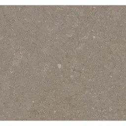 Zorka Natural Taupe 60x60 9mm R9