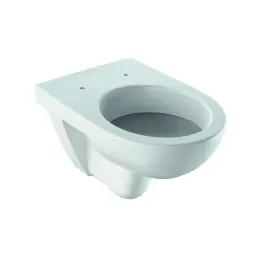 Geberit Selnova WC šolja konzolna sa dubokim ispiranjem 500.260.01.1