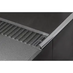 TR-2012 polirana silver