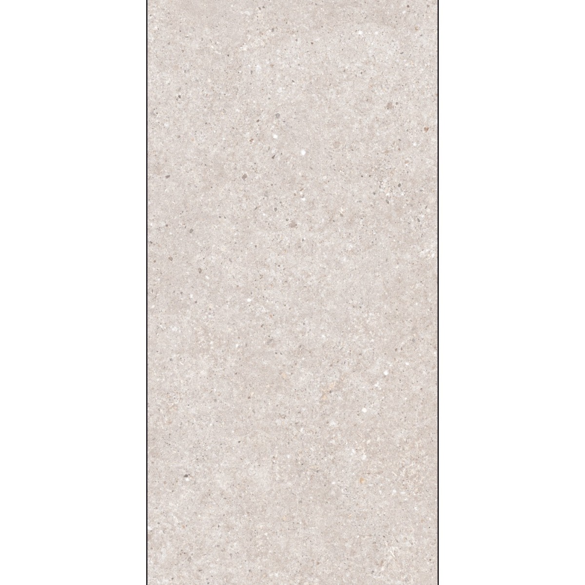 Arena Terazzo Beige 60x120 RECT 10mm R10
