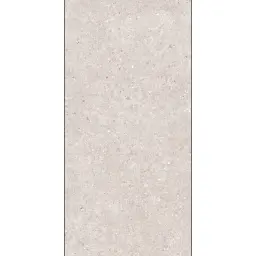 Arena Terazzo Beige 60x120 RECT 10mm R10