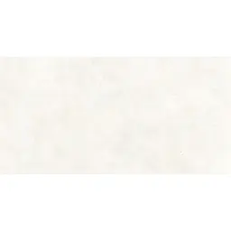 Limestone White Rec 60x120