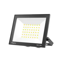 Braytron LED Reflektor 50W Crni 6500K IP65 BT66-05031