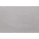 Leo Gris 60x120
