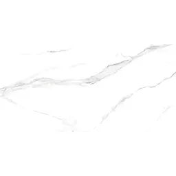 Calacata Silver 60x120