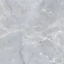 Capristone Silver Rec 60x60