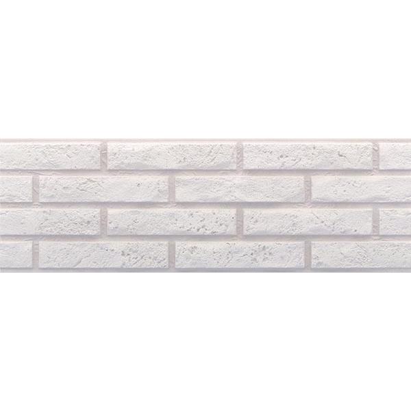 ASCOT Blanco 20X60 M92