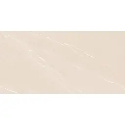 Laguna Beige Mat 60x120cm