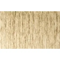 Aruba Beige 25x40