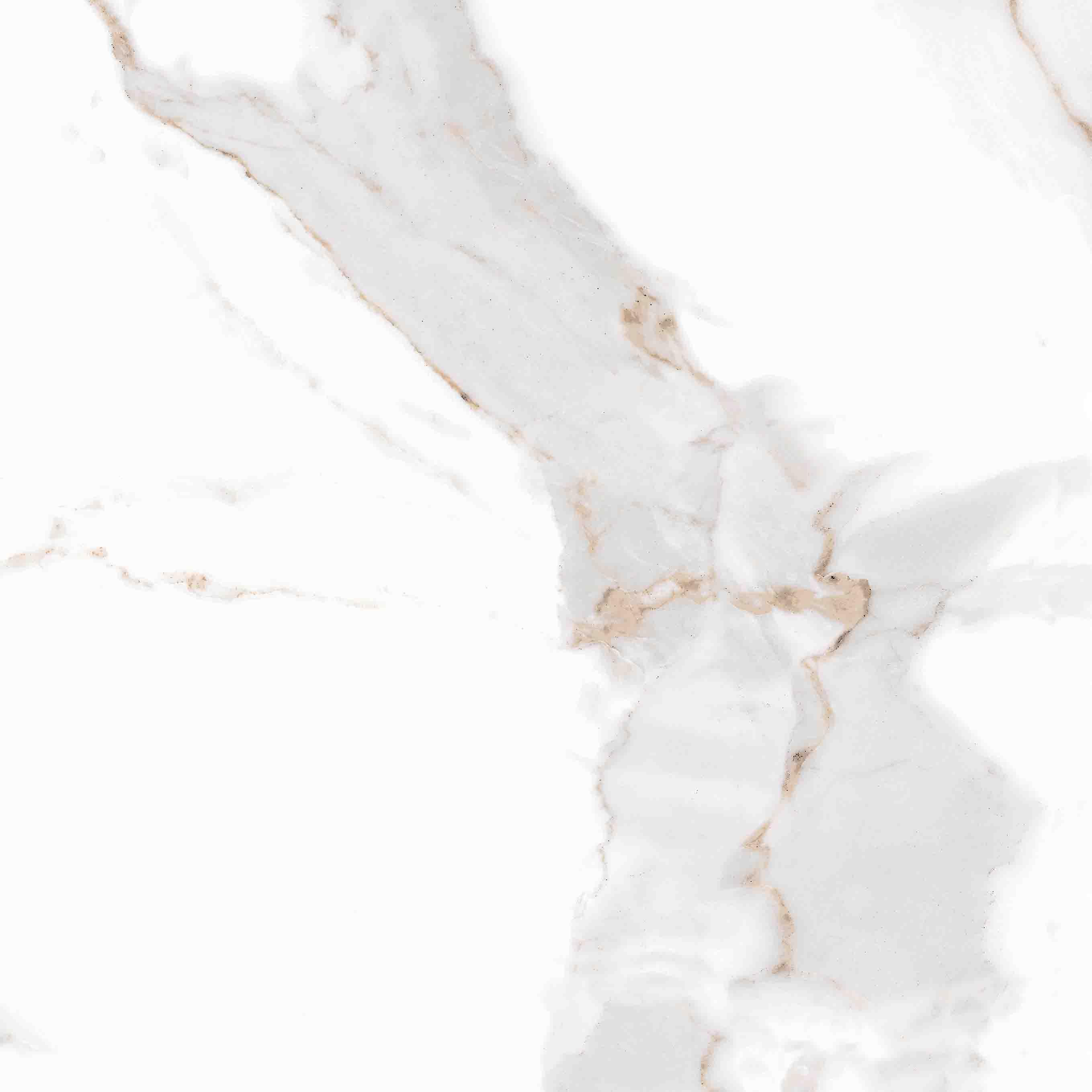 ANTIQUE CARRARA GLOSSY 610x610
