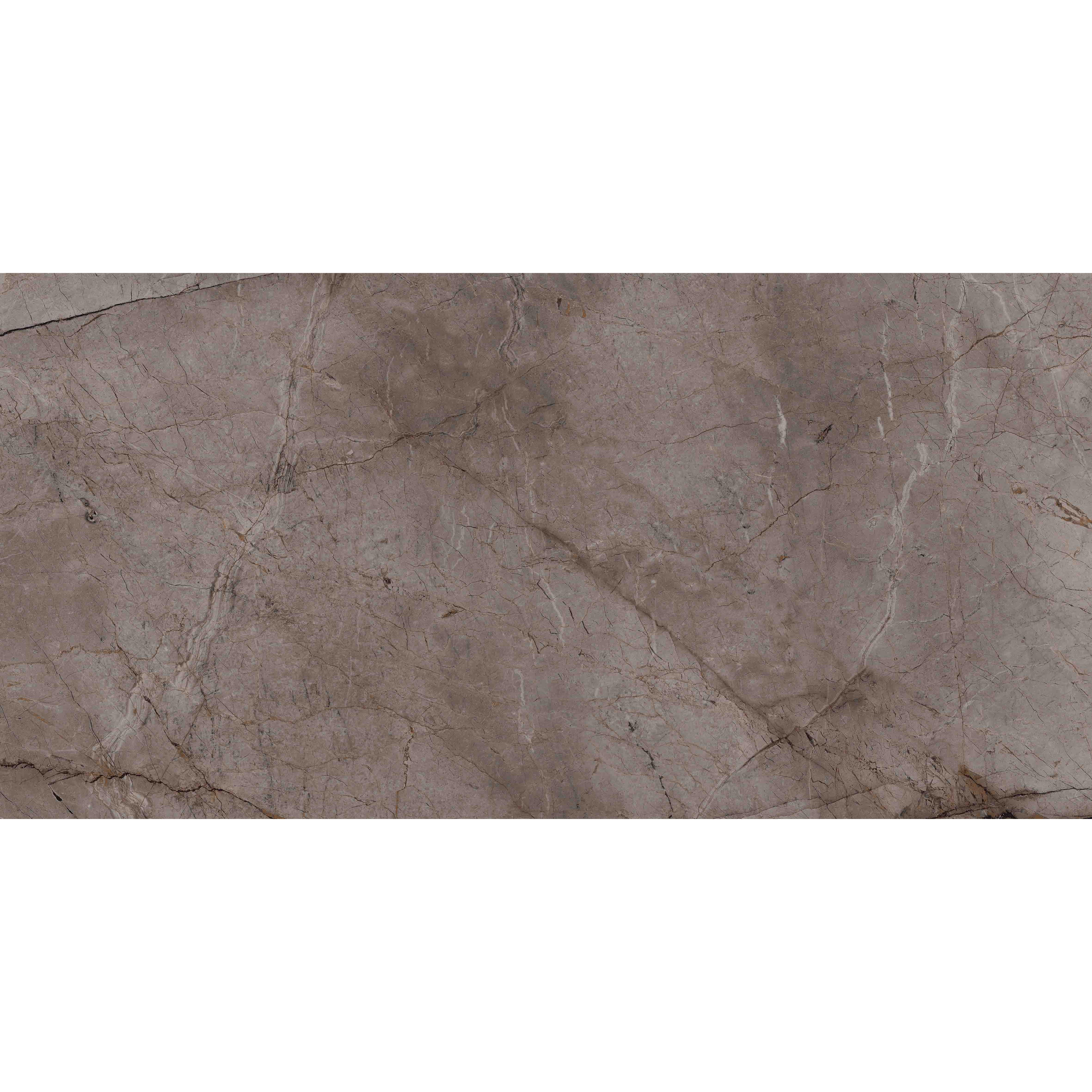 Root Ash 600x1200 rett. Lapp. Akl.