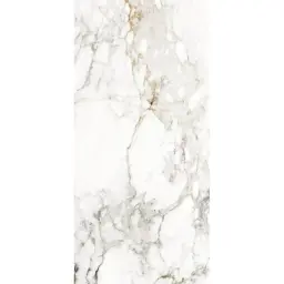 Halcon Ceramicas BARNABY super white matt 60x120 rett MA03 0R (P)