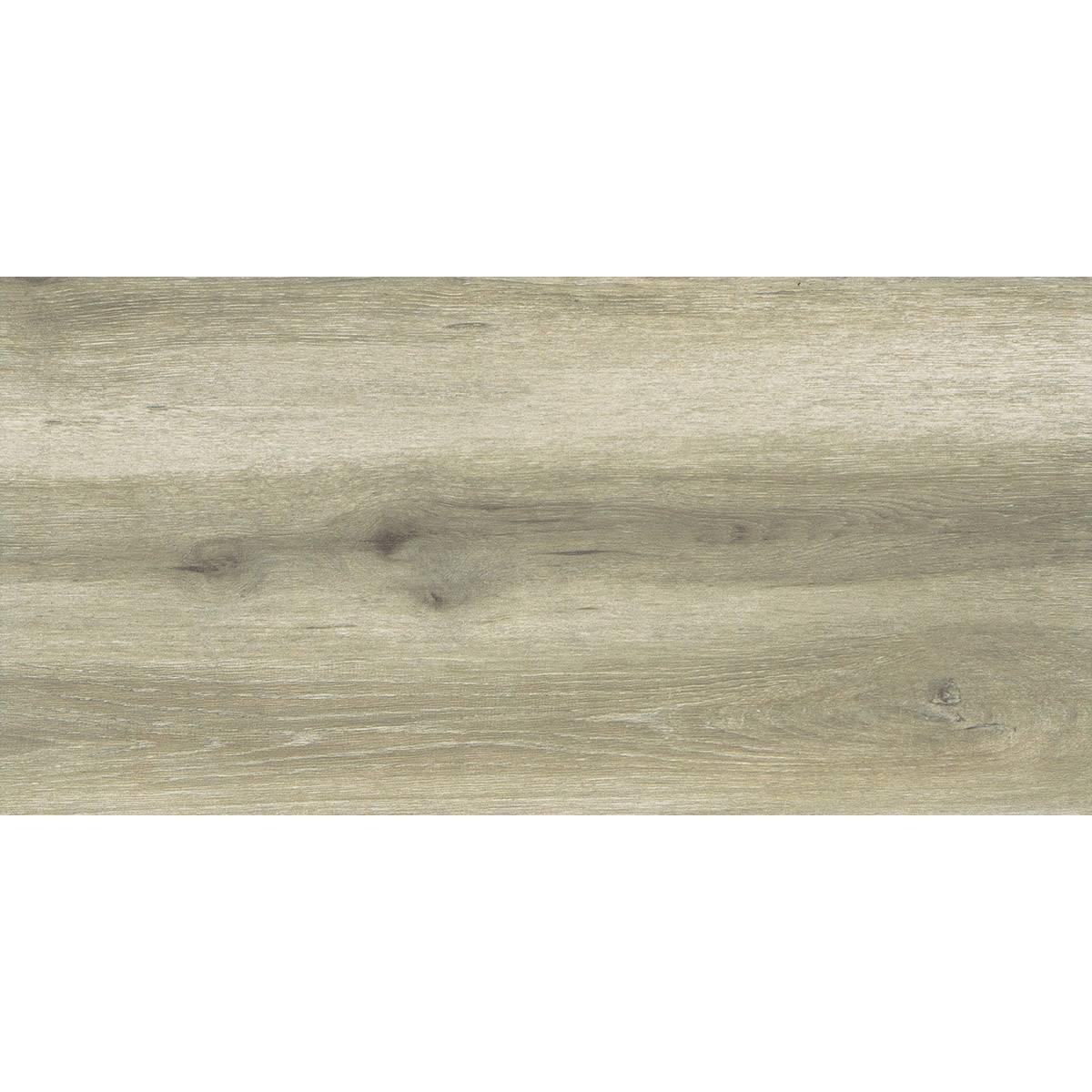 Forest Birch 30x60cm