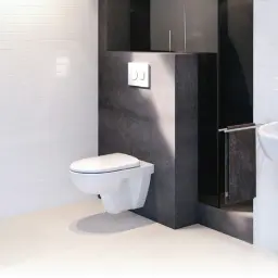 Geberit Selnova SET WC šolja Rimfree sa sc daskom