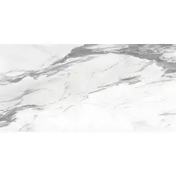 ALTISSIMO White 60x120 M75