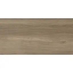 Kenarwood Oak 60x120