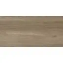 Kenarwood Oak 60x120