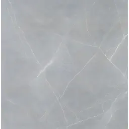 Zorka Elegant Grigio 60x60 9mm R9