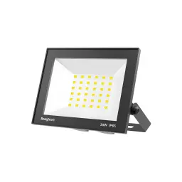 Braytron LED Reflektor 30W Crni 6500K IP65 BT66-03031