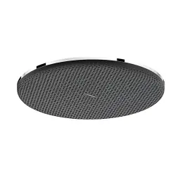 Hansgrohe Raindance Alive S 300 tuš ruža 224520000