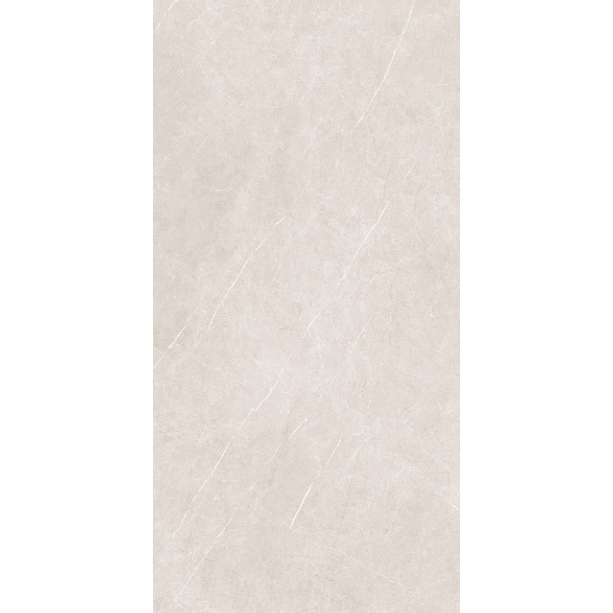 Arena Elegant Taupe 60x120 RECT 10mm