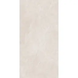 Arena Elegant Taupe 60x120 RECT 10mm