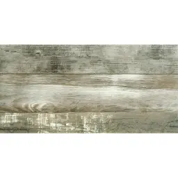 Capanna Grey 30x60