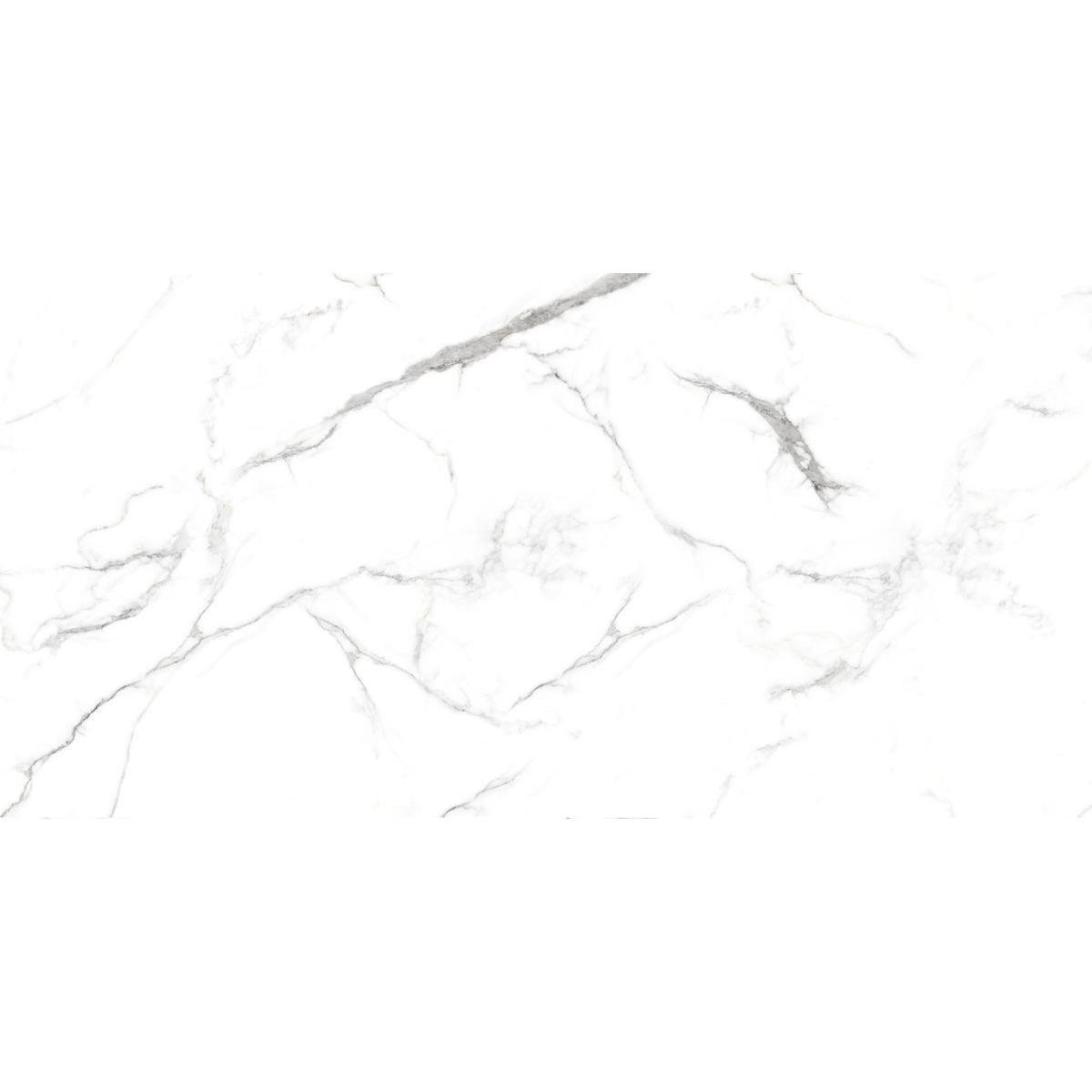 Neo Oslo Carrara 60x120cm