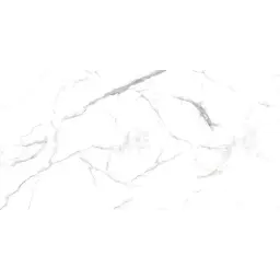 Neo Oslo Carrara 60x120cm