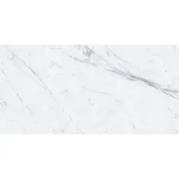 PG Statuario Spider 80x160
