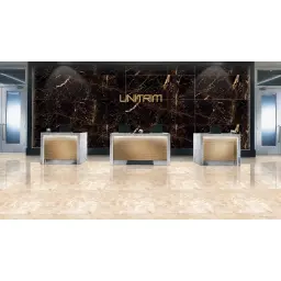 Golden Black Matt 60x120cm