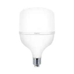 Braytron LED Sijalica T T100 30W E27 6500K BA13-33023