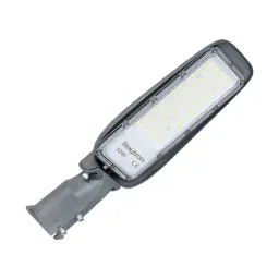 Braytron LED Ulična Svetiljka 50W Siva 6500K IP66 BT42-95032