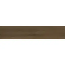 Pamesa BOREAL nut 23x120 AH06 1 (P)