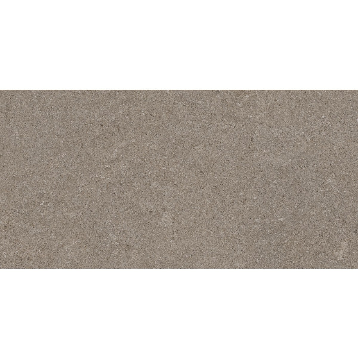 Zorka Natural Taupe 30x60 9mm R9