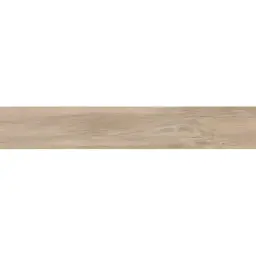 Argenta HAGEN canella 20x120 M01 03 rett (P)